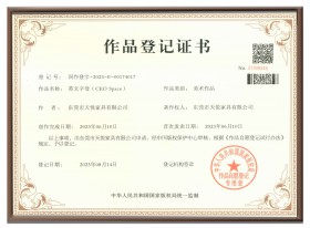 CEO Space 品牌LOGO专利